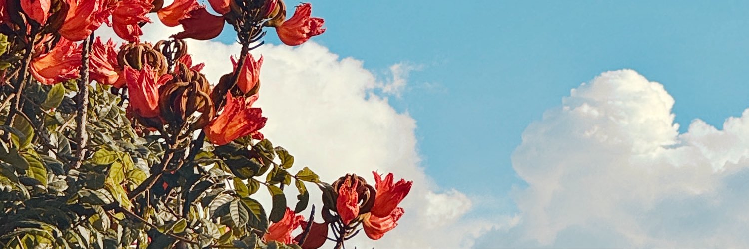ausereneapp's profile banner image