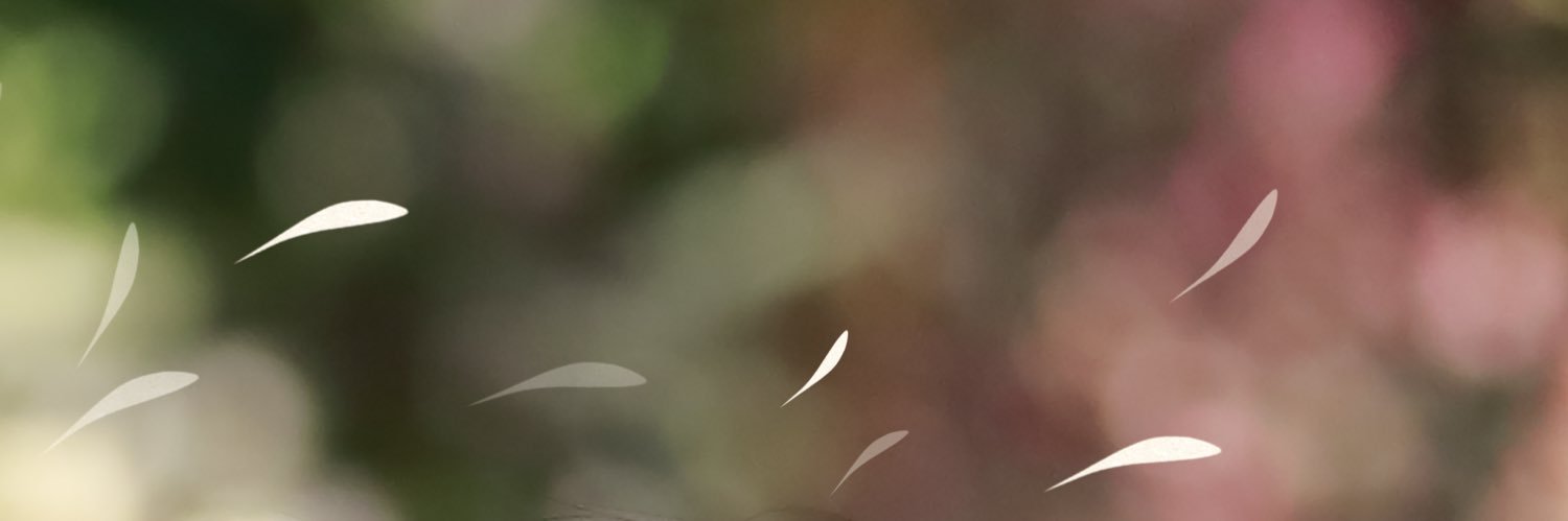 asami_sw2's profile banner image