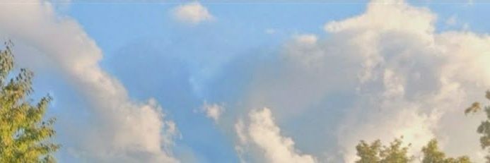 eilbahia's profile banner image