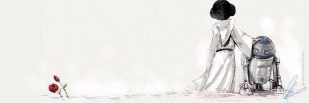 johcann's profile banner image