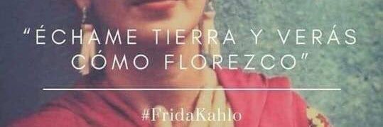 MariaFuentesp's profile banner image