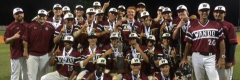 Warrior Baseball banner