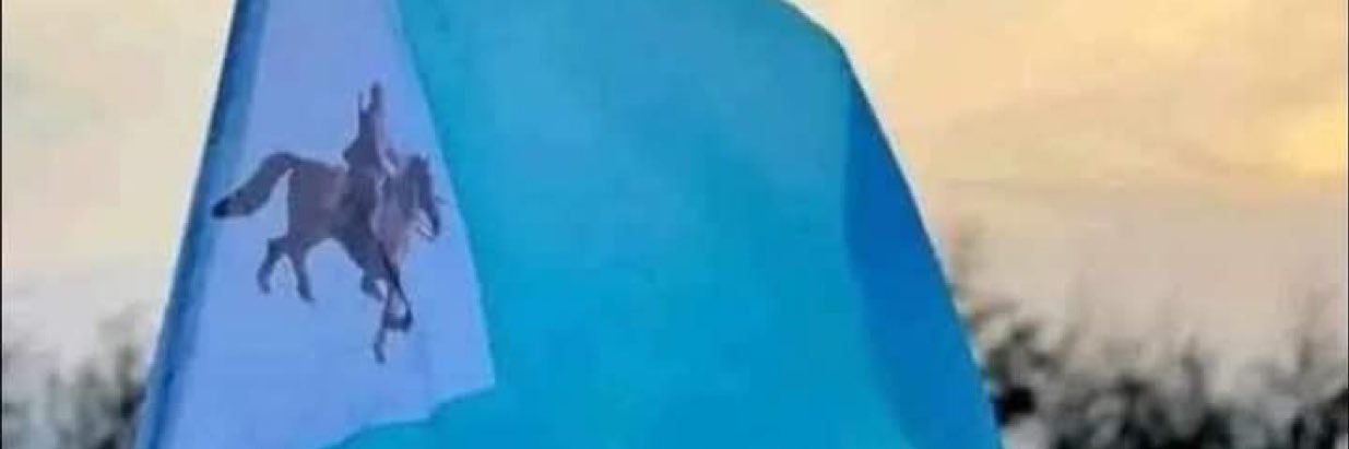 Bella banner