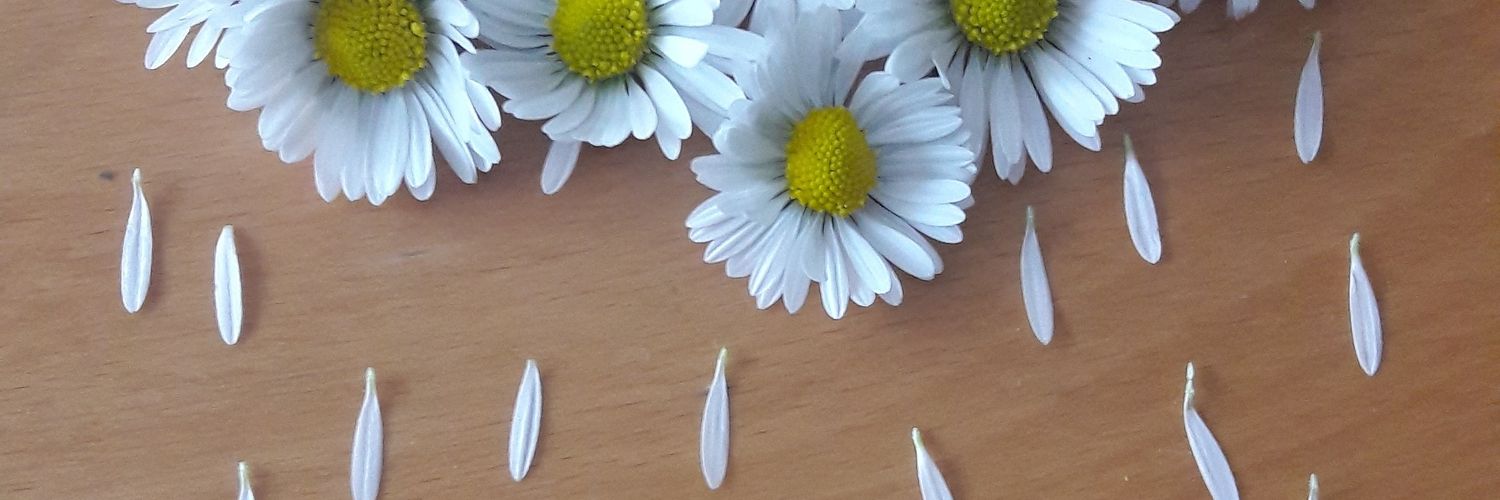 _Erhan_XXX's profile banner image