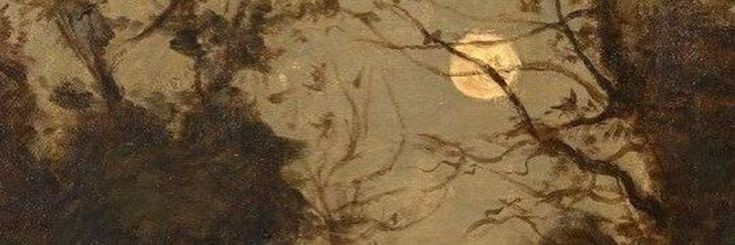 NN banner
