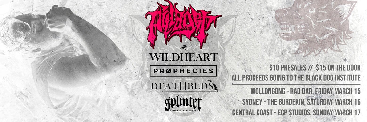 PillagerBand's profile banner image