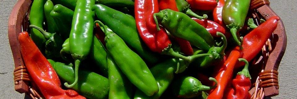 ThePepperDigest's profile banner image