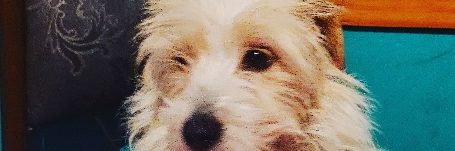 francocardozo22's profile banner image