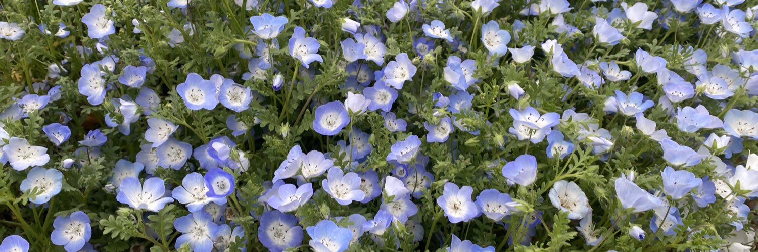 なかいえり banner