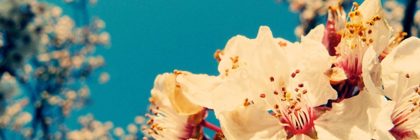 Nienuss's profile banner image