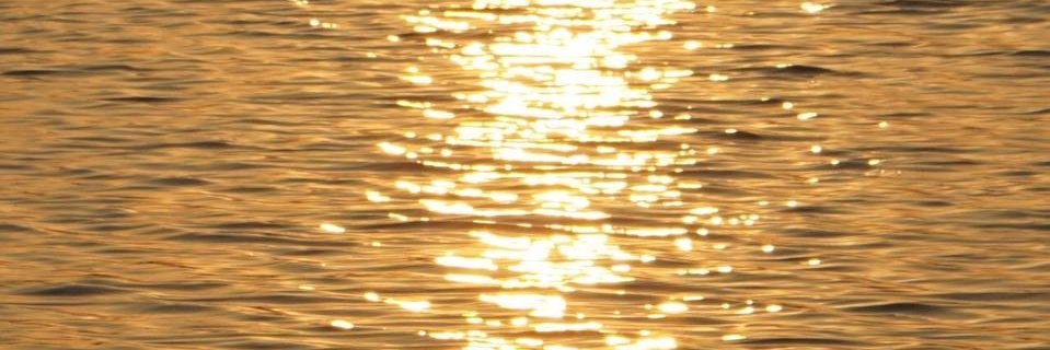 manogyadhital's profile banner image