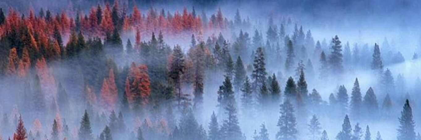 Tricky_Brunette's profile banner image