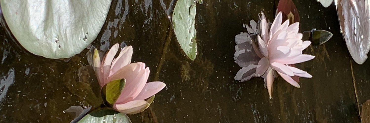 Jennafay's profile banner image