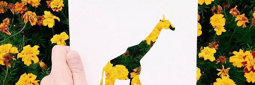 julimdr's profile banner image