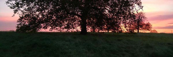 Drapes100 Profile Banner