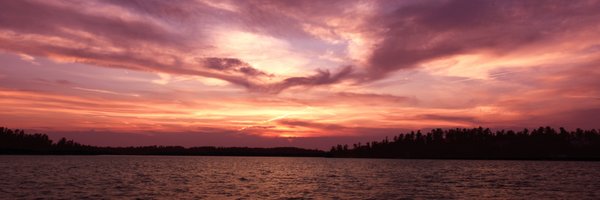 me_lipson Profile Banner