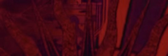 TechXDrop's profile banner image