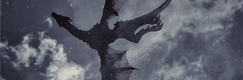 Liser Lynch 🦦 banner