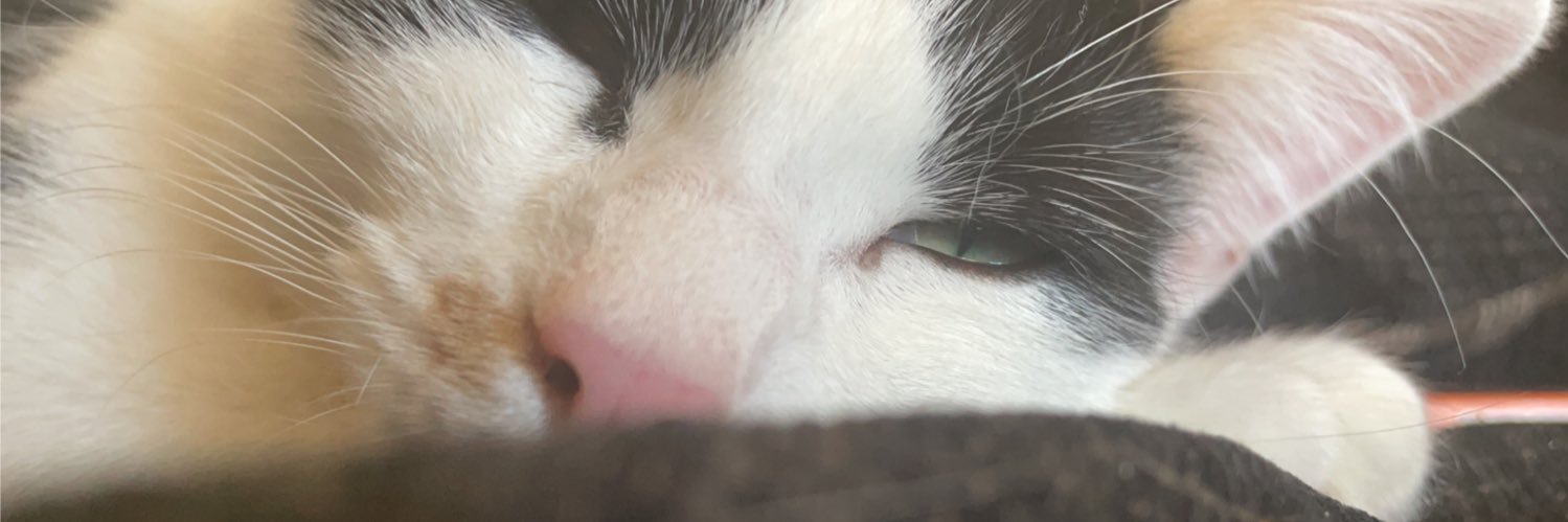 ItsChloFo's profile banner image