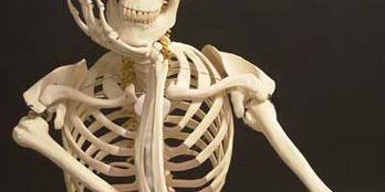 Brandon Humbert banner