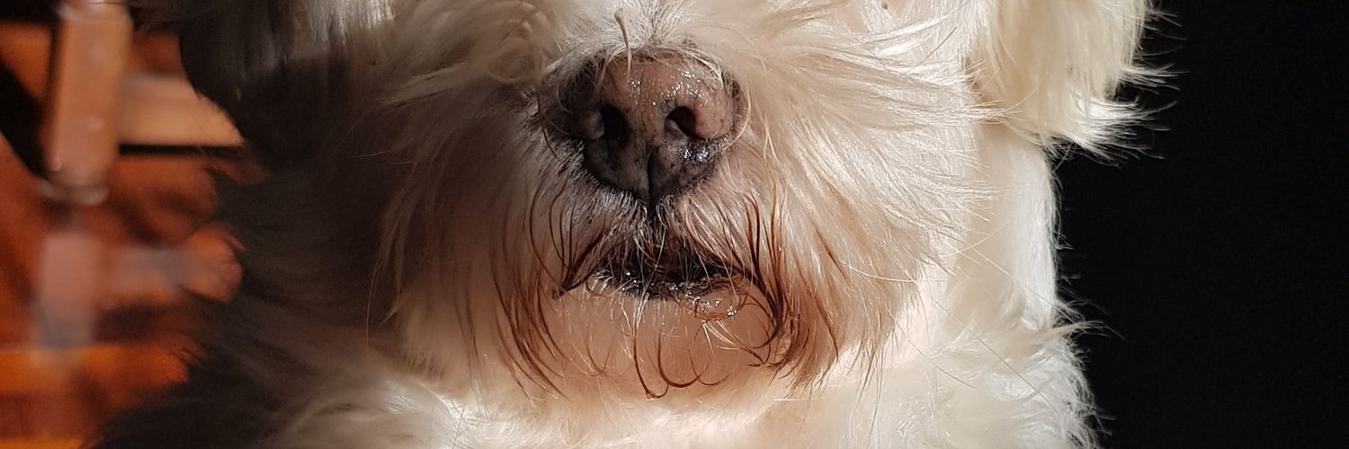 Julipppe's profile banner image