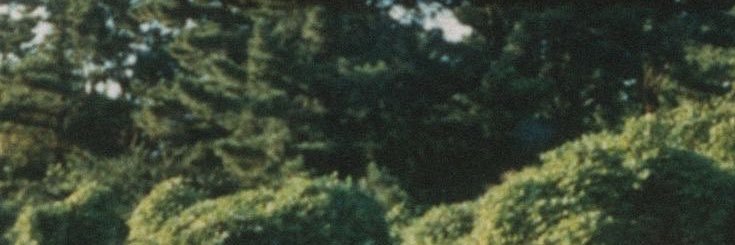 raisedays's profile banner image