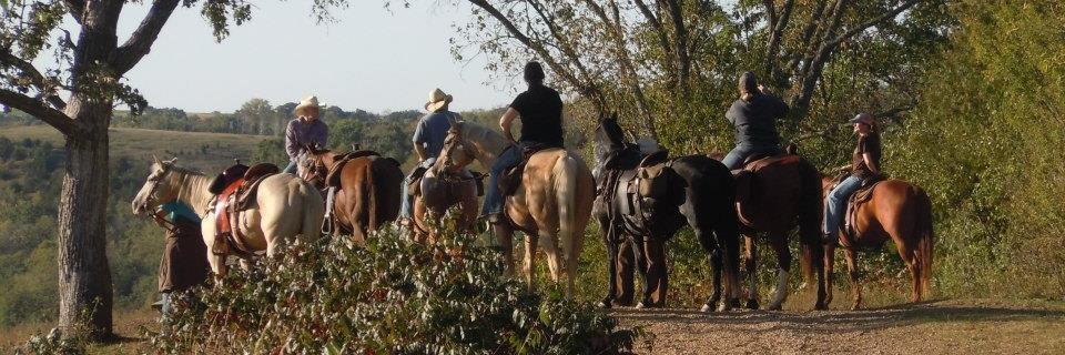 Randi🌻💙💛 banner