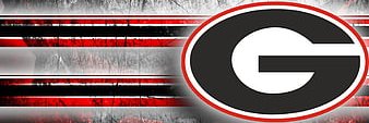 Ludes banner
