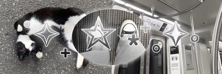 see ౨ৎ‧₊ banner