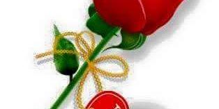 b89af2c19235480's profile banner image