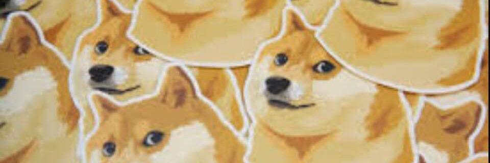 BackFido's profile banner image
