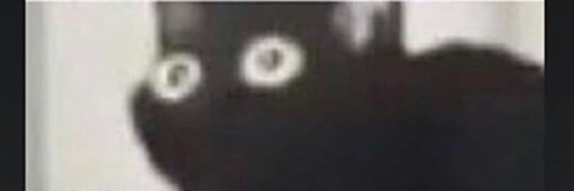 FoxyThePirate69's profile banner image