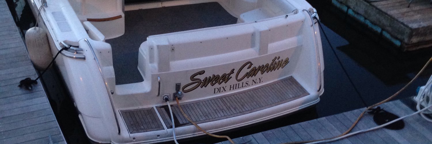 CarolineSolazzo's profile banner image