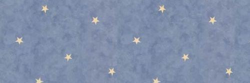 tonisiaa's profile banner image