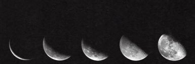 llyssaral's profile banner image