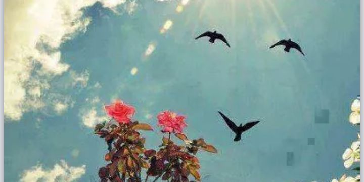 kha92dijah's profile banner image