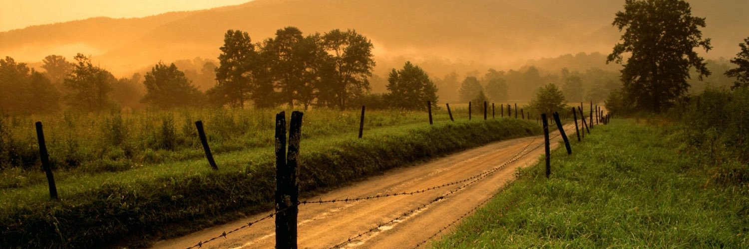 EmHilligoss's profile banner image