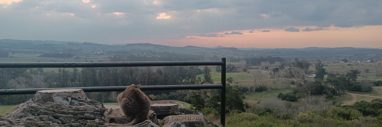 V4N3SA_'s profile banner image