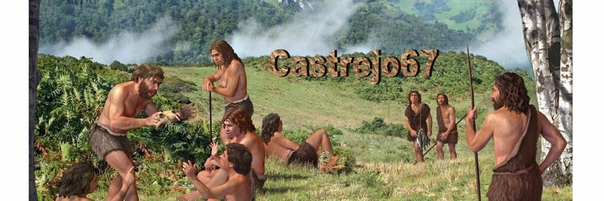 Carlos, Castrejo 🕊 banner