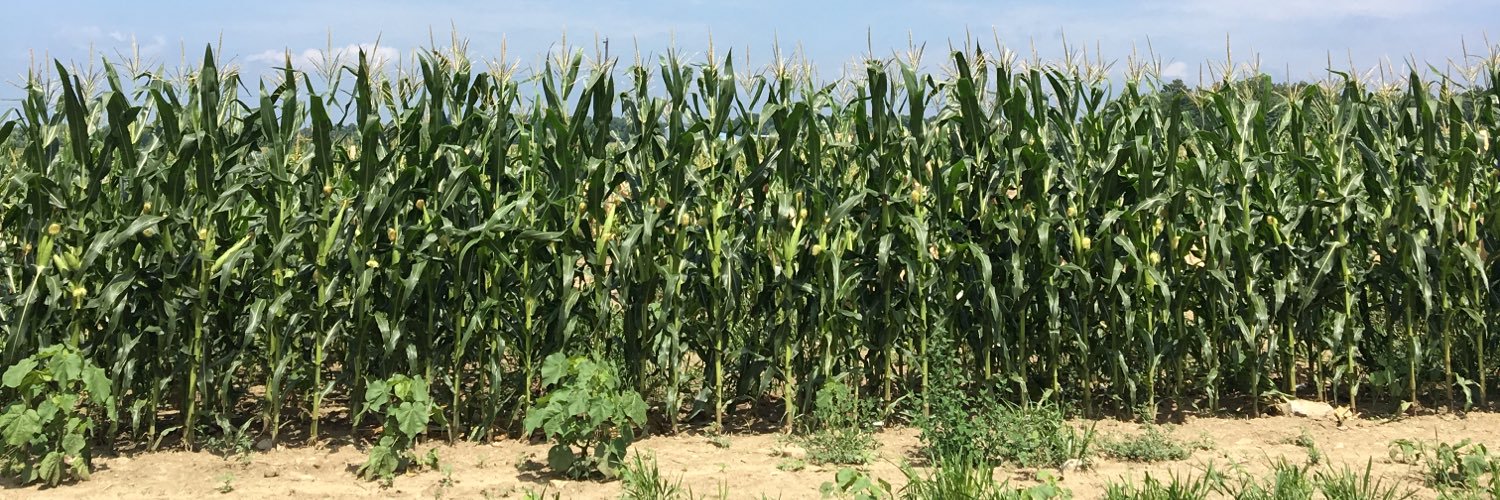 cs_biotech's profile banner image