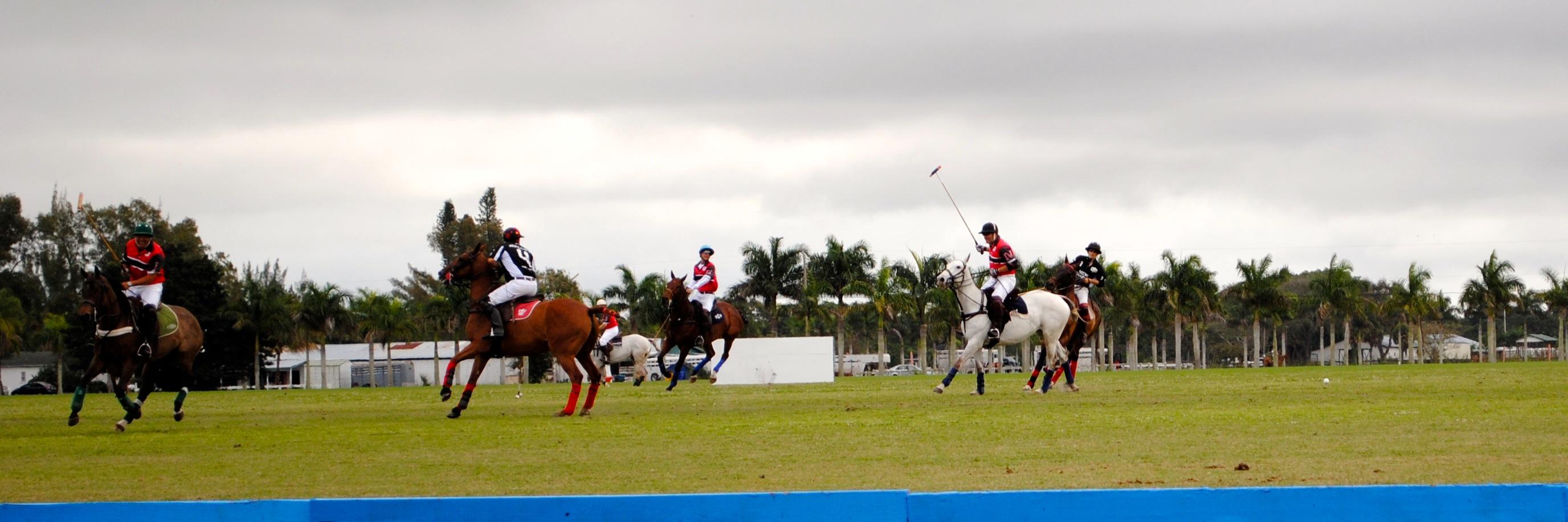miami_polo's profile banner image