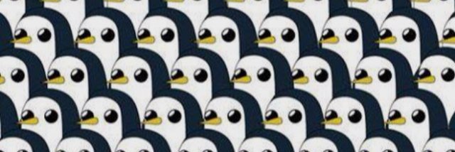 pizzabeerrepeat's profile banner image