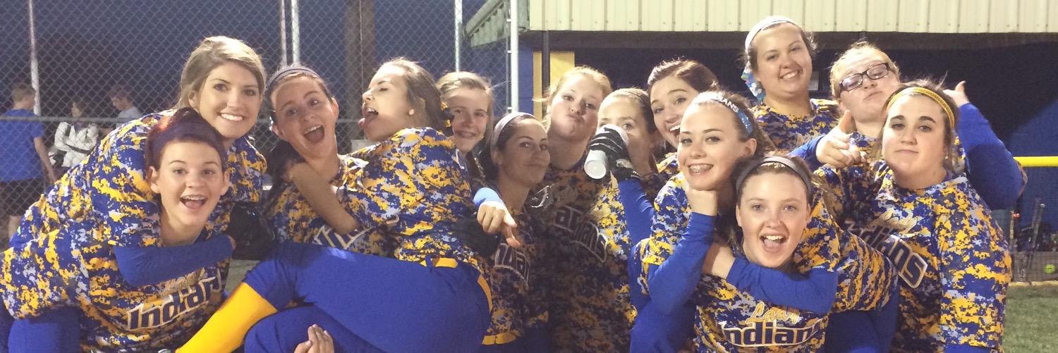 ladyndnsoftball's profile banner image