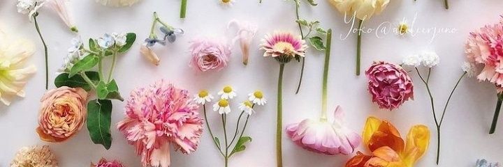 Miss Wendi ♊☮️🇺🇸🩷🌻 banner