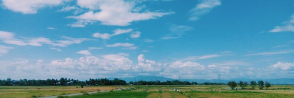 bianneest's profile banner image