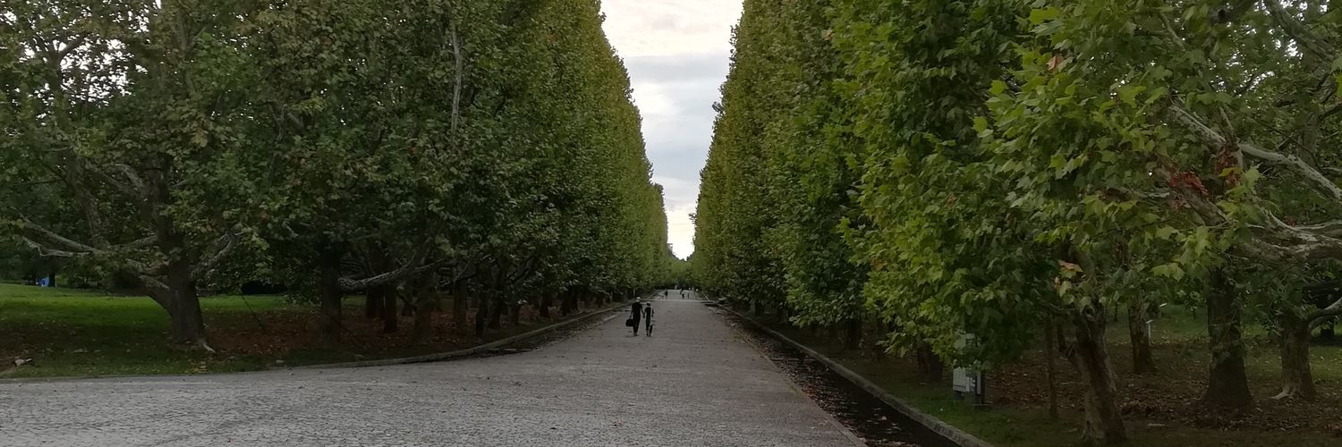 @黒ちゃんこ banner