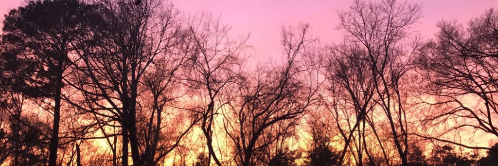 bide2315's profile banner image