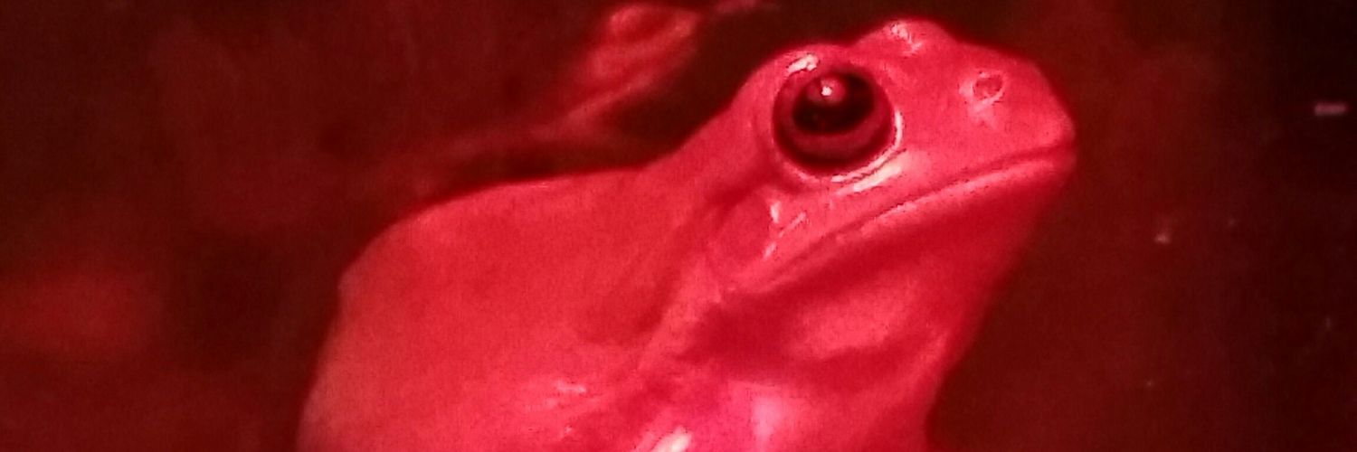 bb21c12's profile banner image