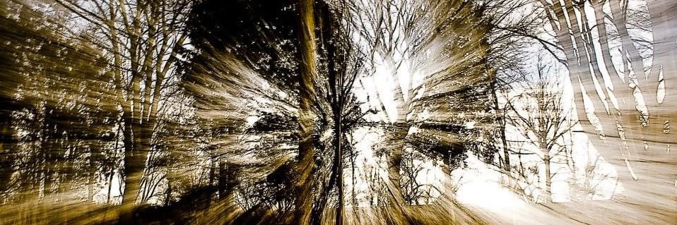 Dean R Jamson banner