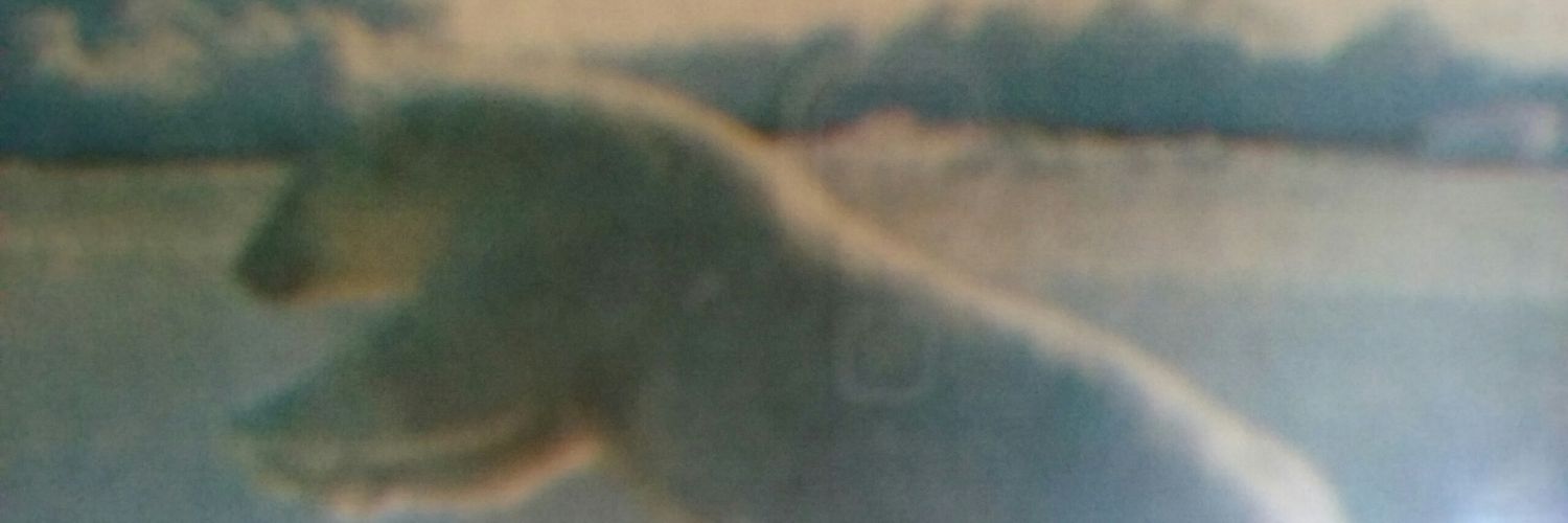benjaminlau666's profile banner image
